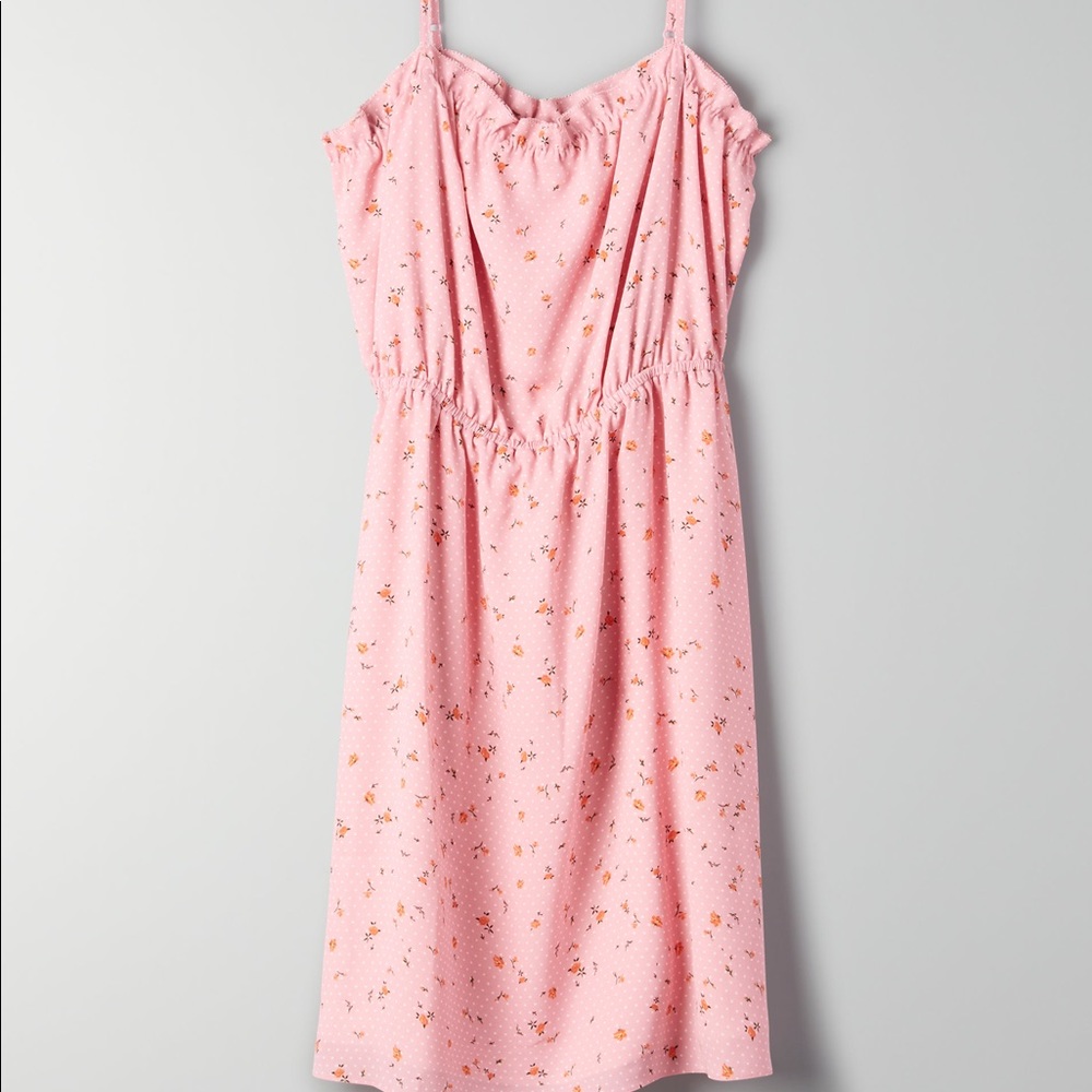 Aritzia Sunday Best Blixen Dress